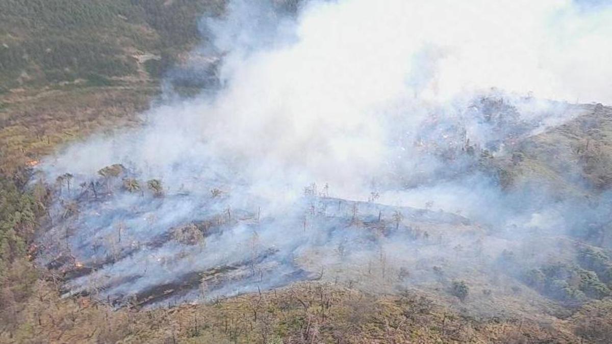 Un incendio activo en Isábena ya ha quemado 15 hectáreas en la comarca de La Ribagorza