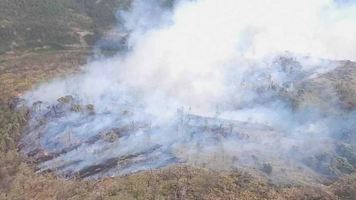 Estabilizado el incendio forestal declarado en Isábena tras quemar 15 hectáreas en la comarca de Ribagorza