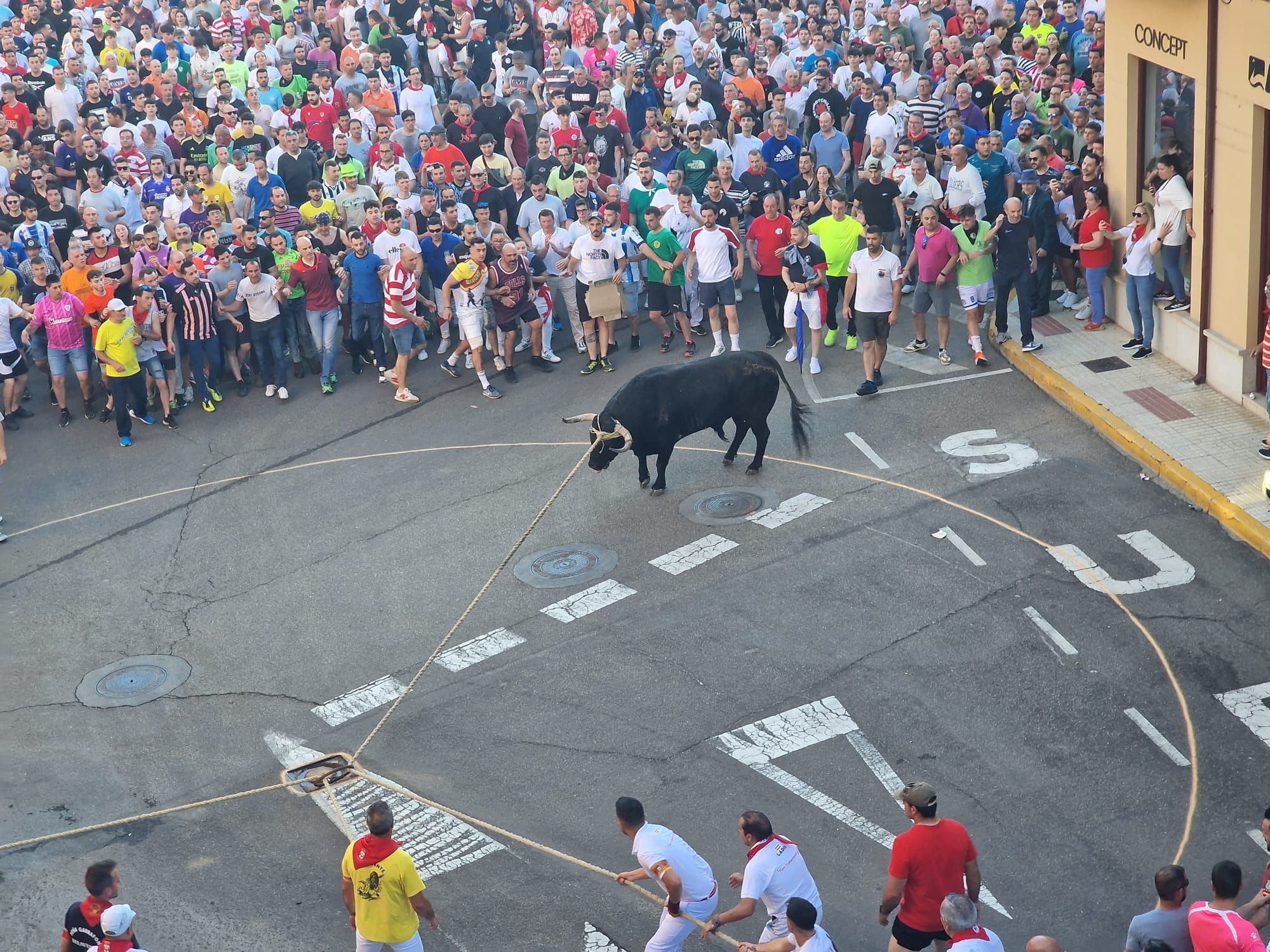 GALERÍA | Búscate en nuestras fotos del Toro Enmaromado 2024 de Benavente