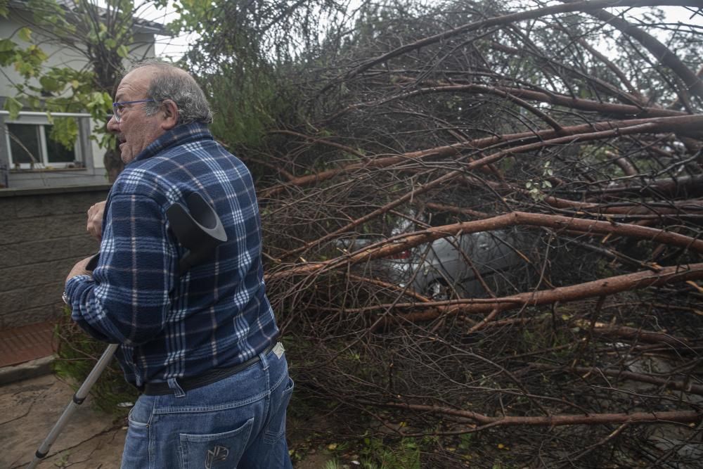 Destrosses a Riells i Viabrea per un tornado