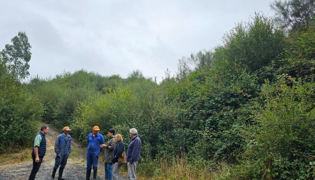 Ariadna Fernández y ediles del BNG, en una vía de servicio de Dozón.