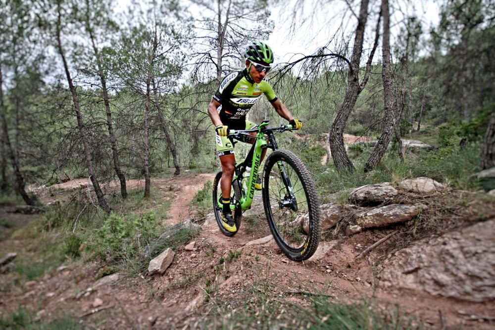 BTT. Tomàs Bellès