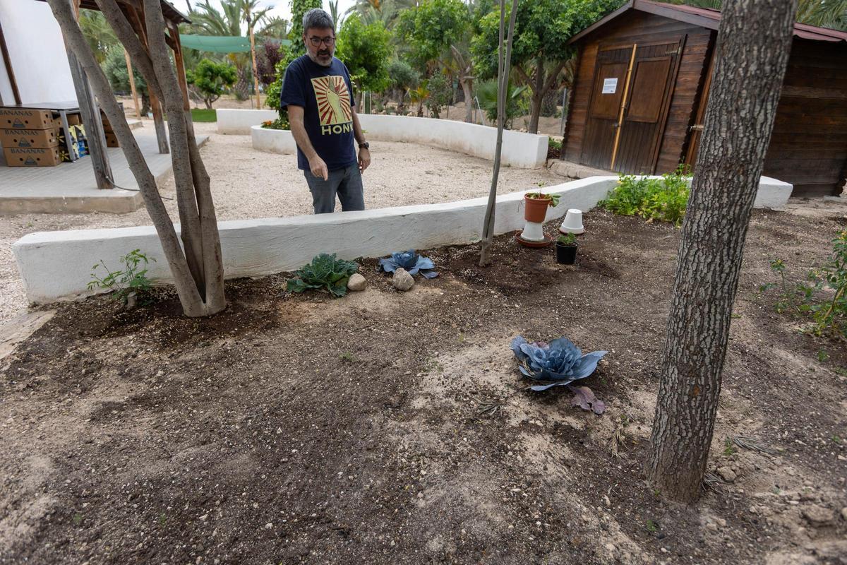 El director del centro de la Asociación Tamarit muestra los escasos vegetales que les quedan tras los últimos robos