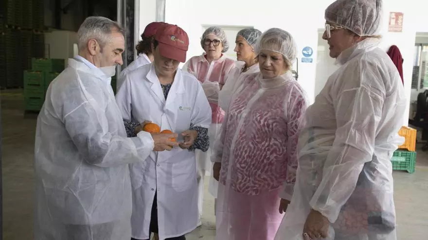 El conseller de Agricultura, Miguel Barrachina, conmemora el Día de la Mujer Rural en la cooperativa Cofrudeca de Bèlgida