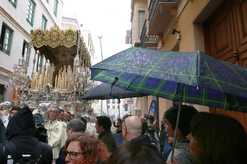 Domingo de Ramos | Lágrimas y Favores