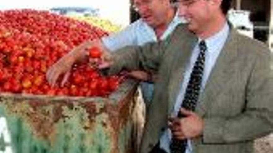 El tomate generará en esta campaña 240 millones de euros