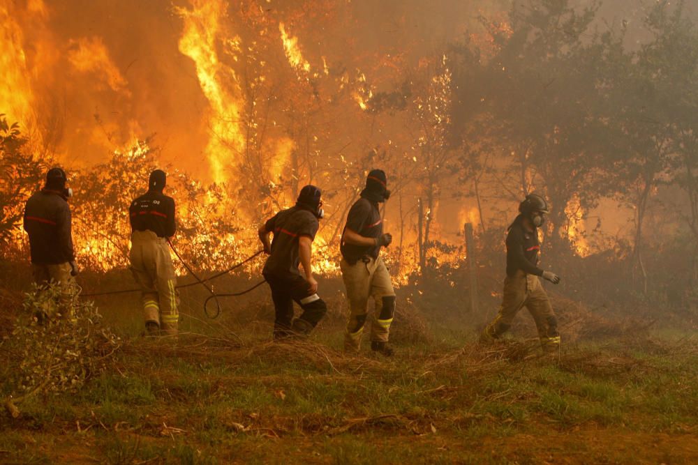 Arde Galicia | El fuego devora el Sur de Galicia