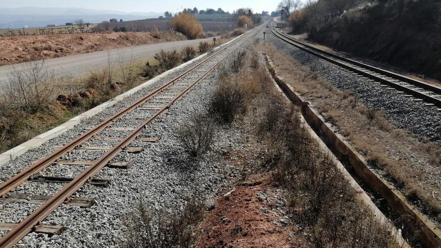 Una plataforma en defensa dels tramvies demana que s’accelerin els projectes promesos