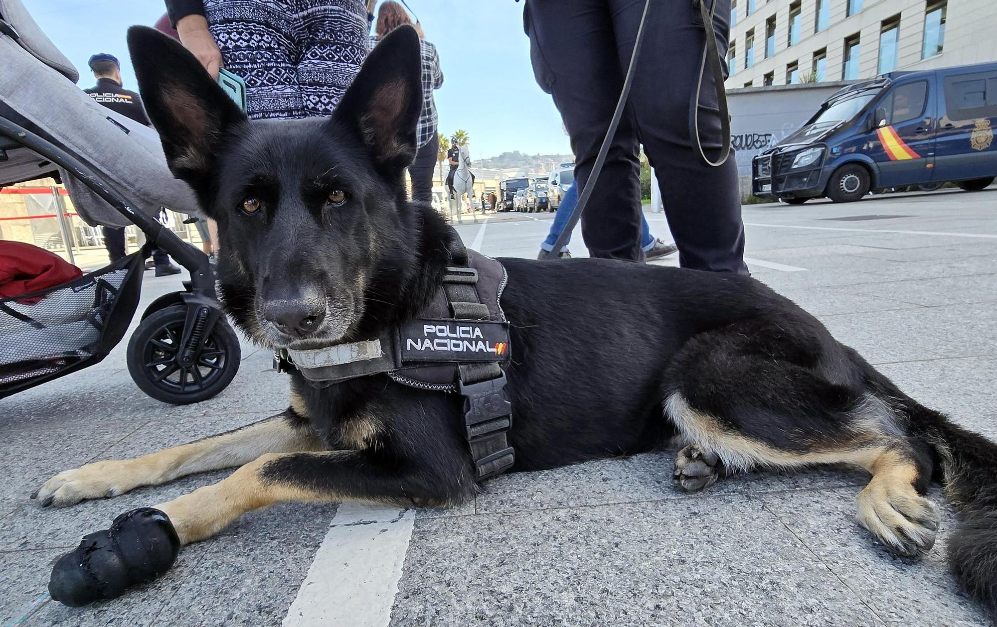 Los perros policía y el robot Sira, protagonistas en la "Exposición de Medios" de la Policía Nacional