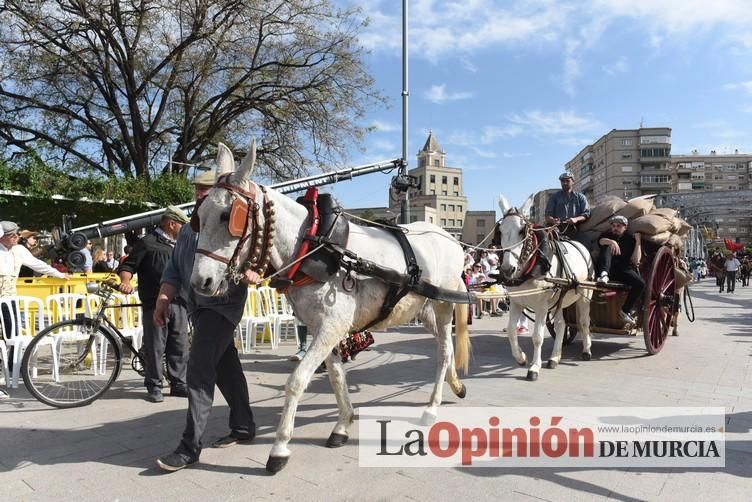 Desfile del Bando de la Huerta (2)