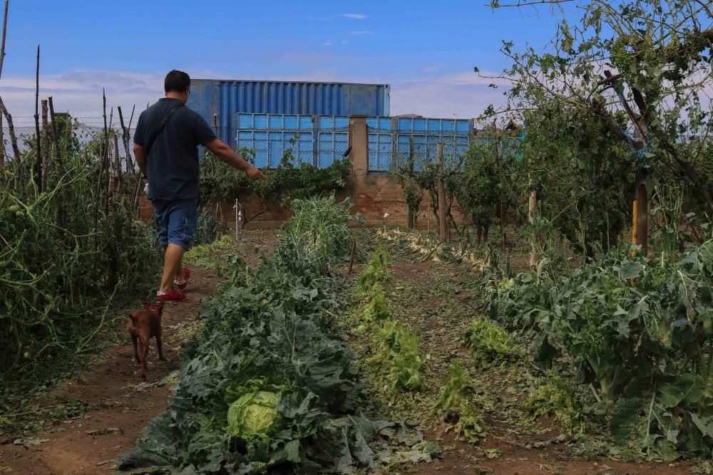 Las imágenes de Roales del Pan, el día después de la tormenta