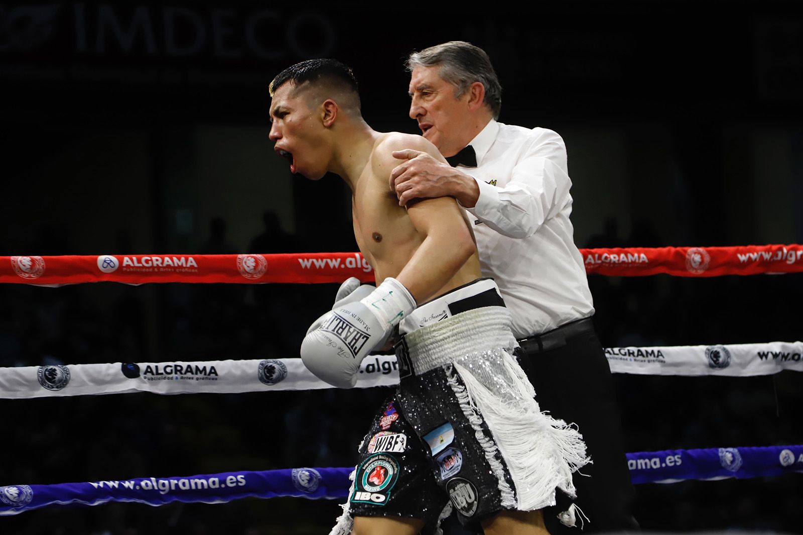 Las imágenes de la velada de boxeo en Vista Alegre