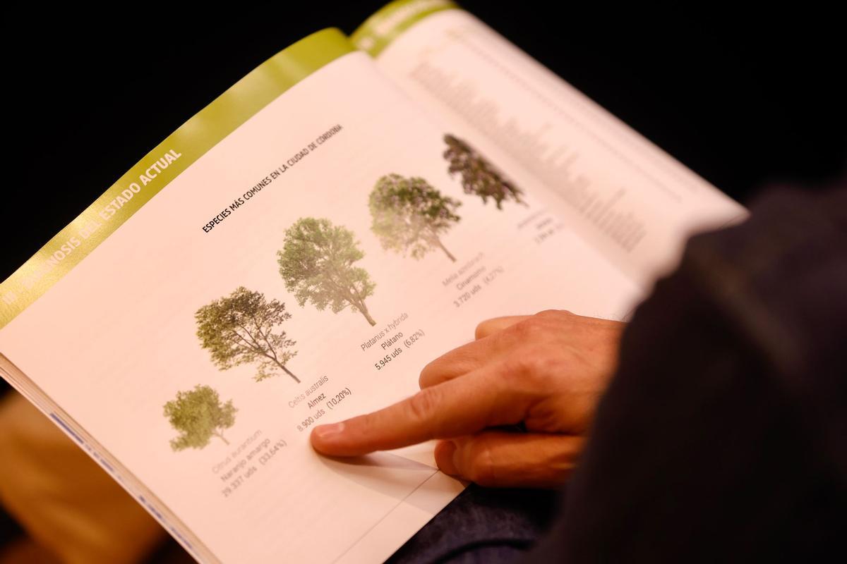 Presentación del Plan del arbolado en el salón de actos de Emacsa.