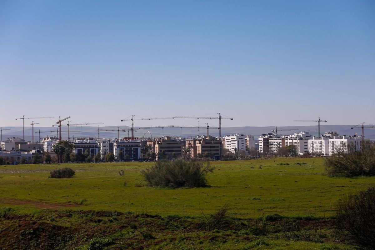 Córdoba. Viviendas de nueva construcción, obras, pisos, bloques. Huerta Santa Isabel
