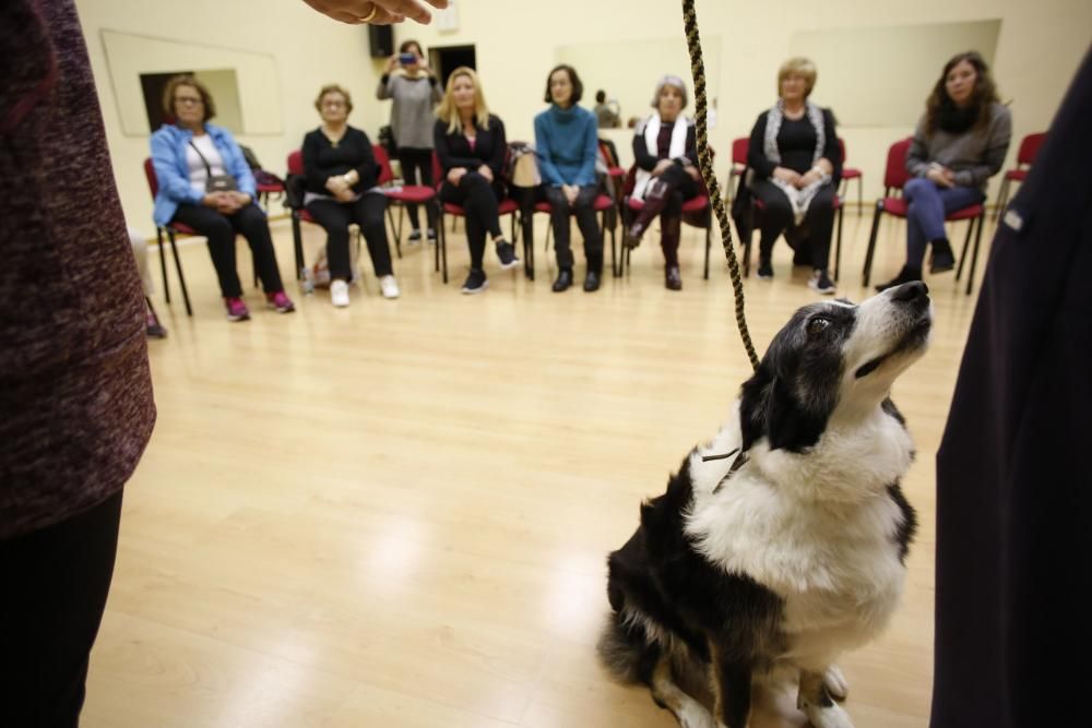 Taller de terapia con perros en el centro de mayores de Las Meanas, Avilés