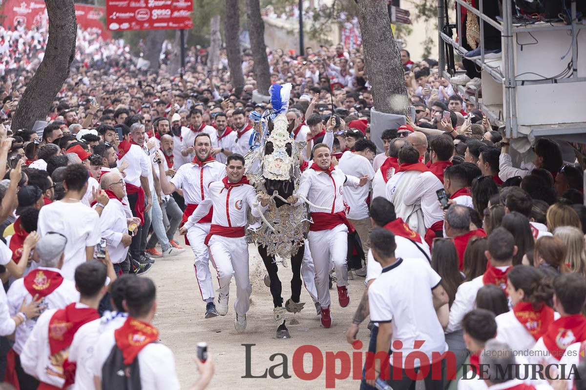 Así se ha vivido la carrera de Los Caballos del Vino en Caravaca