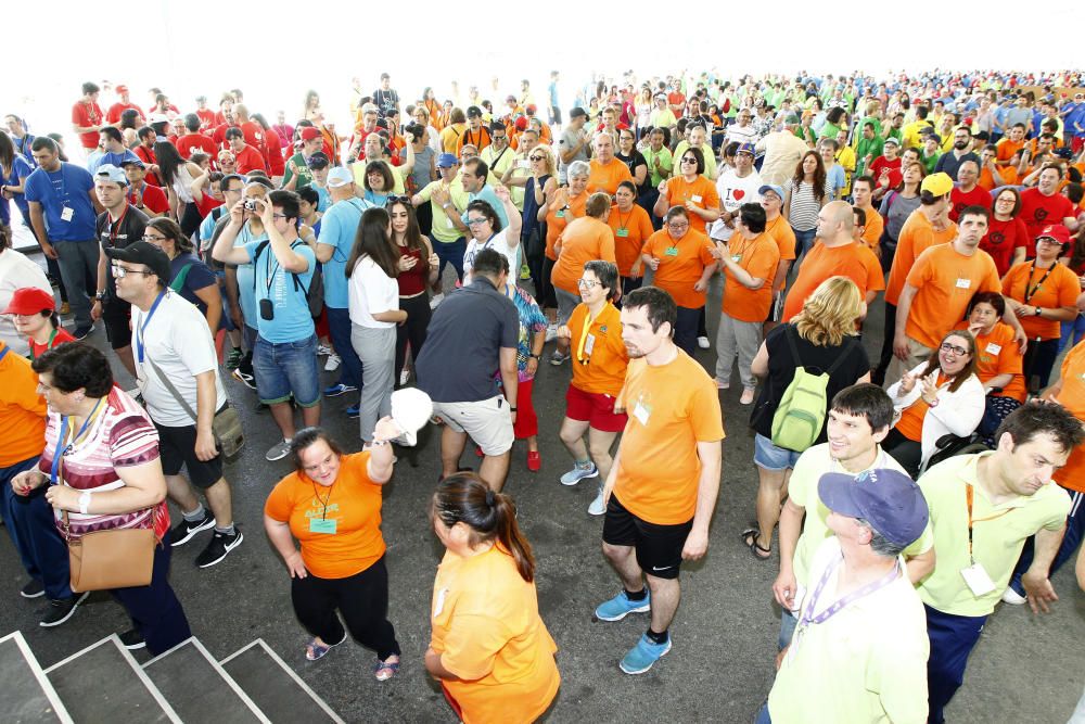 Clausura Ligas de Deporte Adaptado COPAVA-IVASS