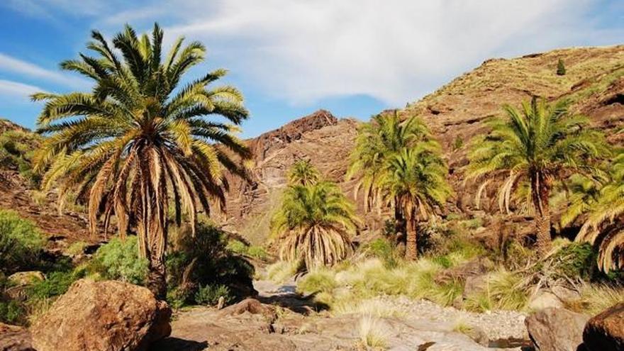 Ruta por el barranco de Vigaroé