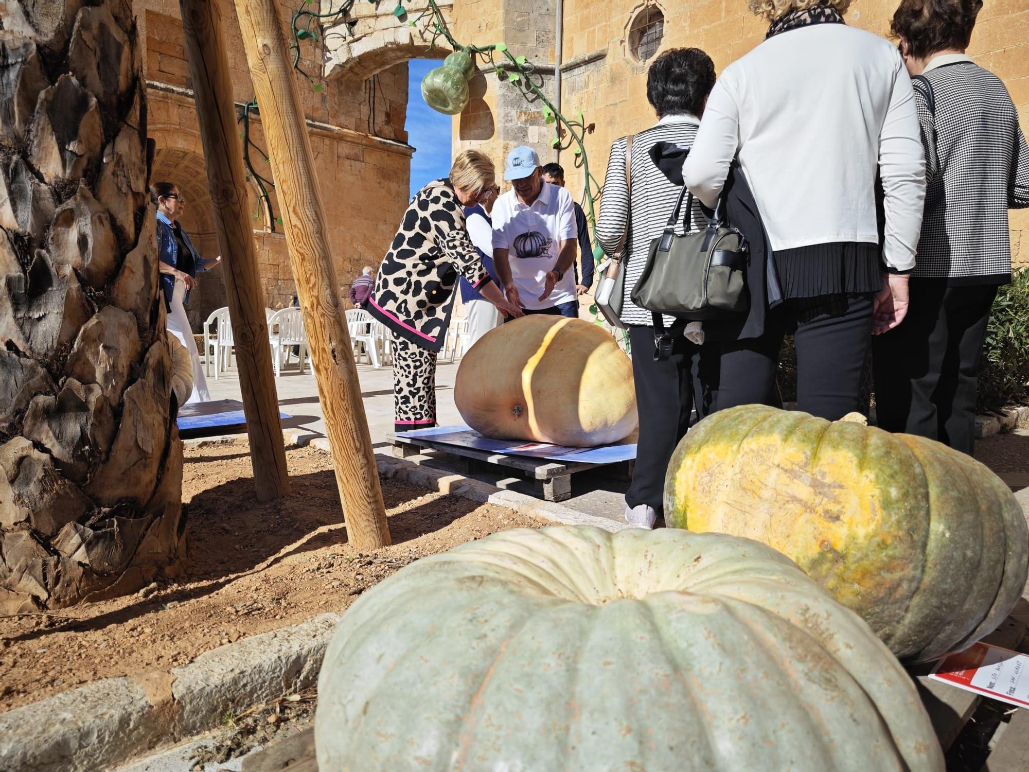 Ferias de otoño | La Fira de la Carabassa de Muro, en imágenes