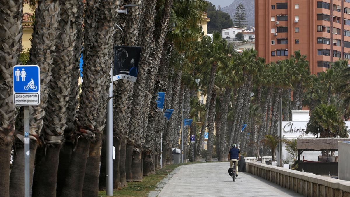 La agresión se produjo en la Malagueta.