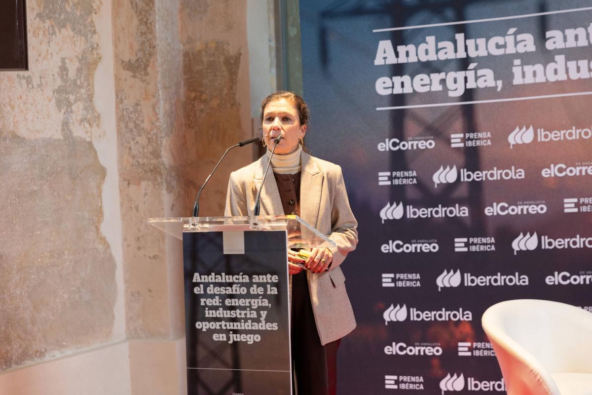 Foro 'Andalucía ante el desafío de la red: energía, industria y oportunidades en juego'