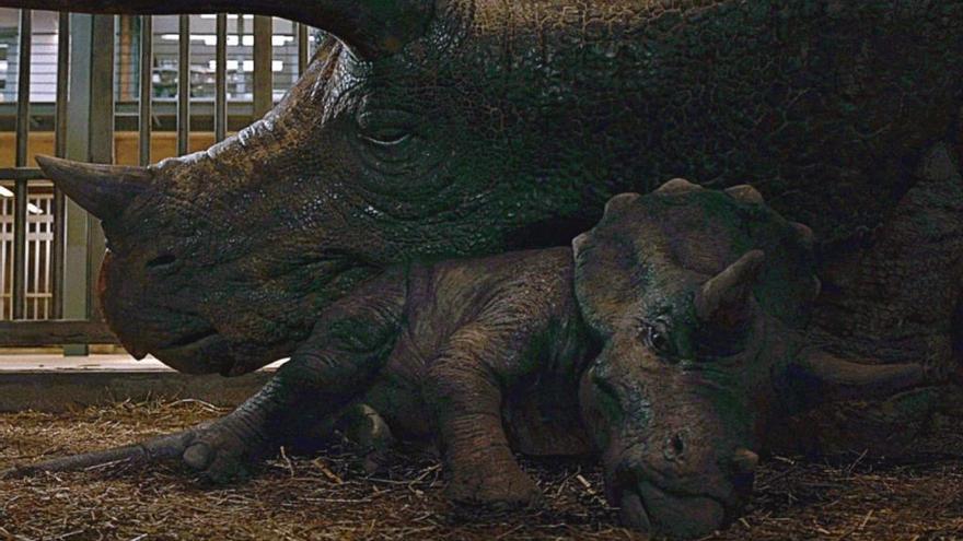 &#039;Jurassic World 3&#039; presenta a su nuevo y adorable dinosaurio