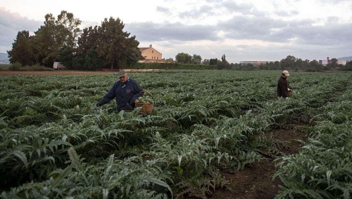 Les finques rústiques de l’àrea de BCN pagaran el tribut de l’AMB