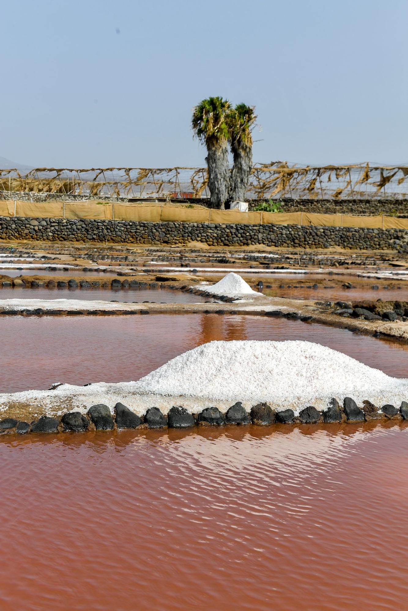 Salinas de Vargas