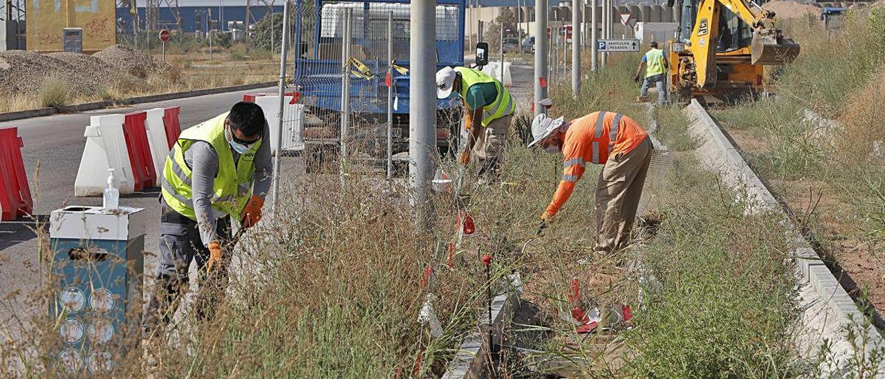 Unos operarios, en plenas tareas.