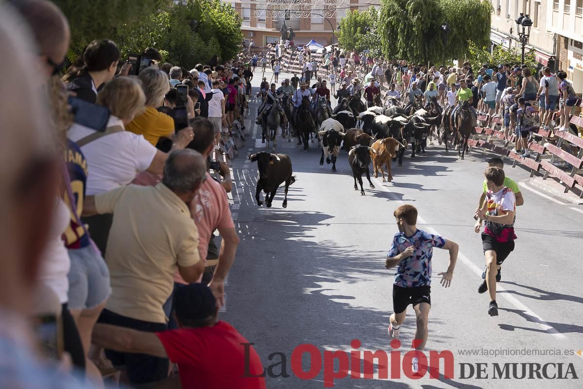 Sexto encierro de las Fiestas de Moratalla