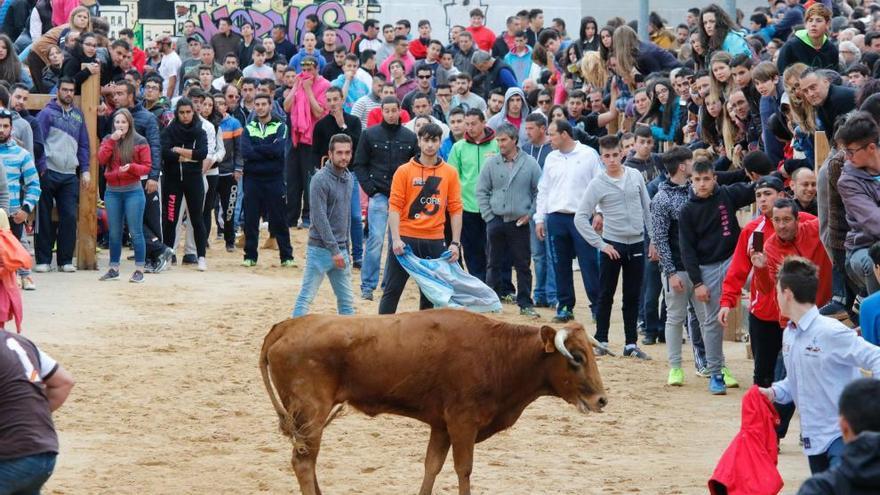 Asistentes al encierro en Morales.