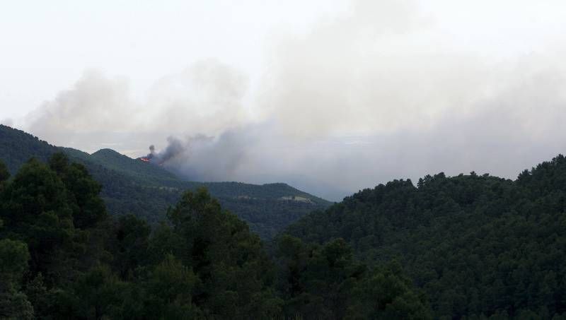 Fotogalería del incendio en el término de Luna en las Cinco Villas