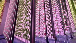 web CBD018DE 380B 4B2C A080 CCEA579E307F (2)