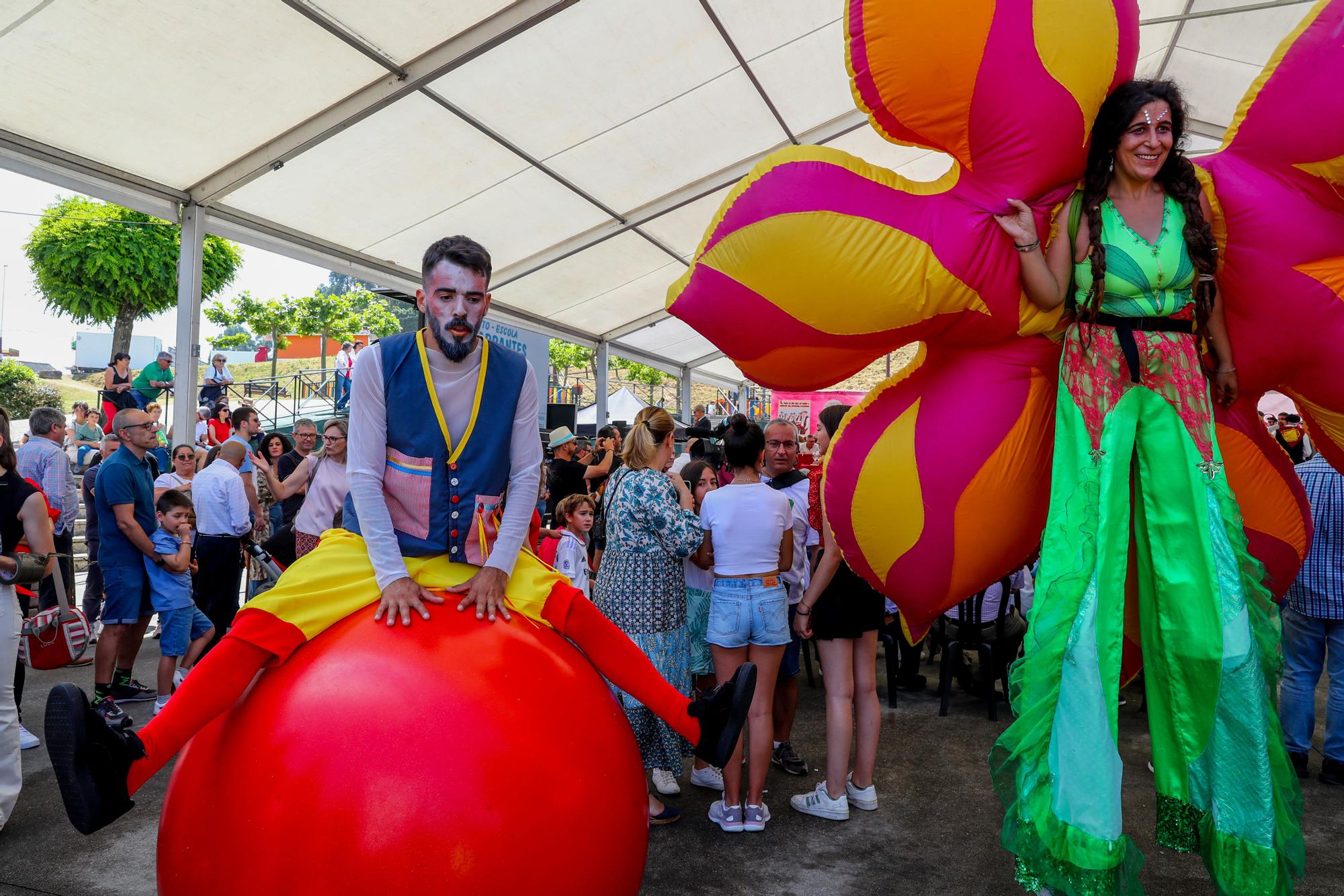 Las bodas de horo de la Festa do Viño Tinto do Salnés