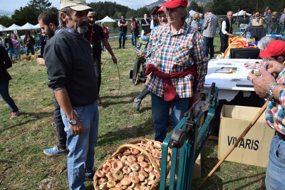 Concurs boletaire de Puigventós