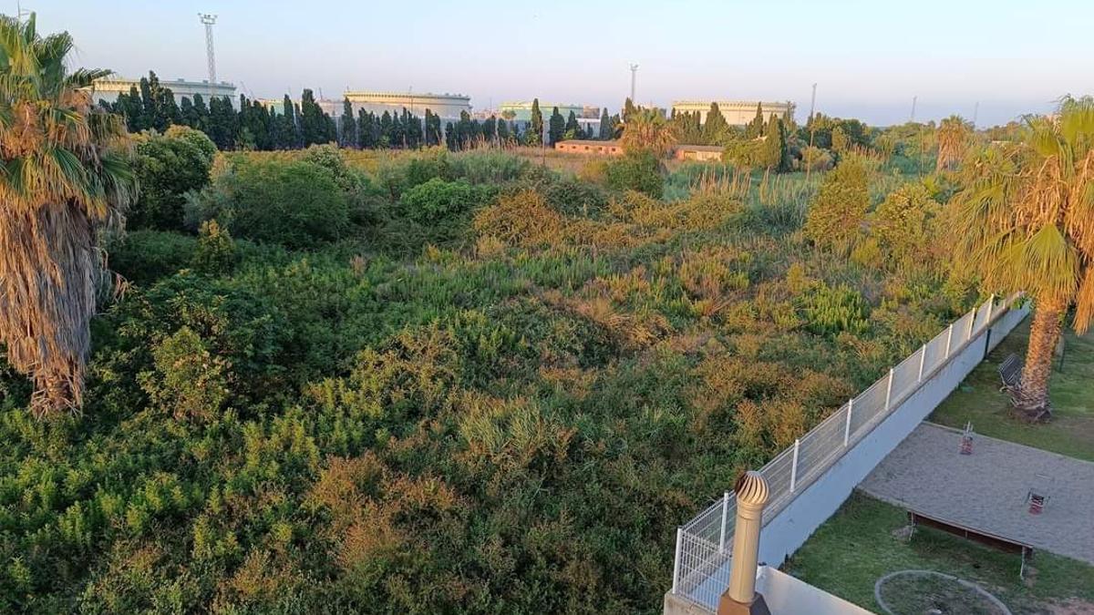 Estado de los solares situados entre el polígono industrial del Serrallo de Castelló y zona urbana de la playa de Almassora, que ha llevado a vecinos a presentar una queja ante el Síndic de Greuges.