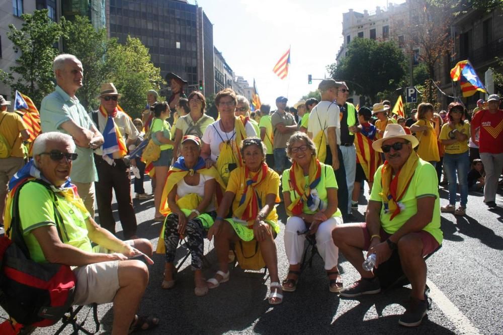 Els gironins a la manifestació de la Diada a Barcelona