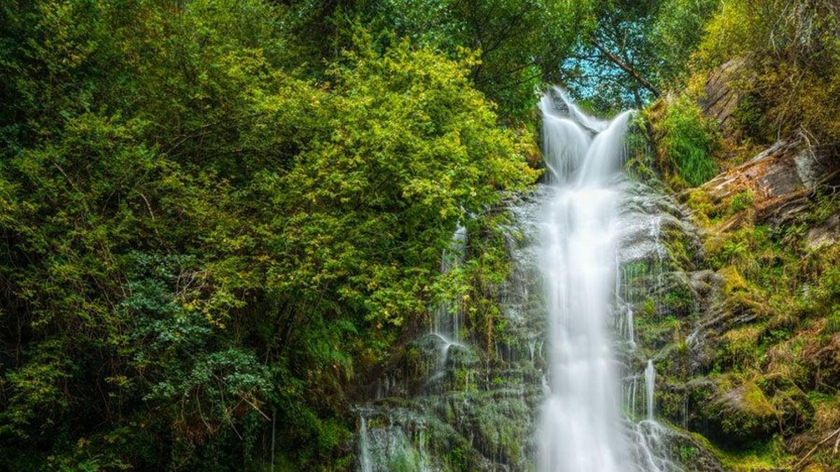 Ocho bosques y parques naturales para disfrutar del otoño en todo su esplendor