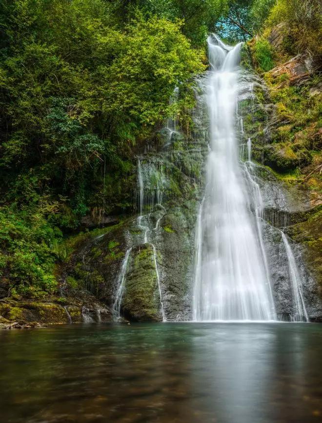 Ocho bosques y parques naturales para disfrutar del otoño en todo su esplendor