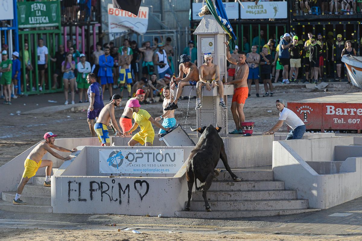 La Paloma firma con su intervención estar de nuevo en el podium de la Vall.