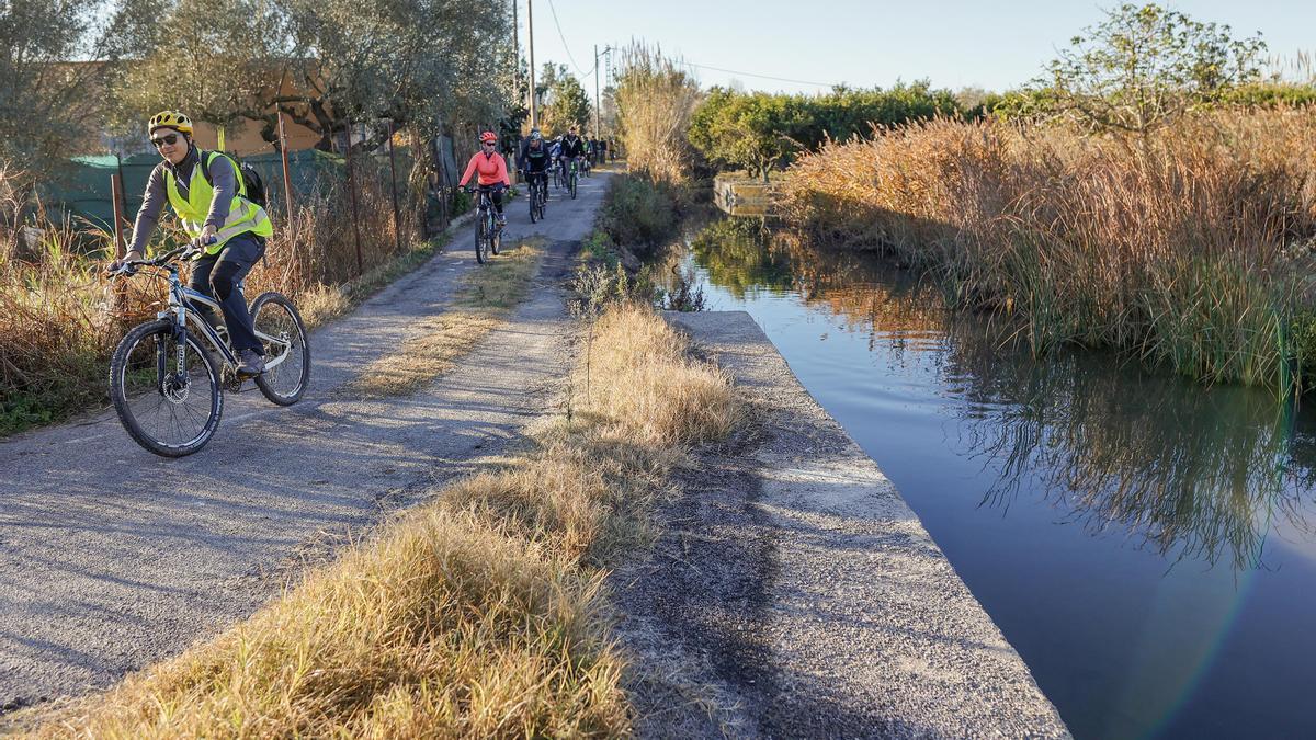 Los castellonenses podrán realizar una ruta en bicicleta por la Marjaleria.