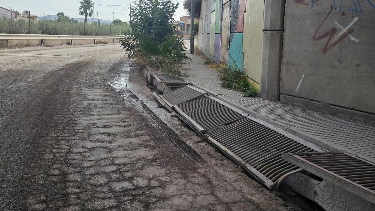 La avenida presenta desperfectos en las infraestructuras de la acera.