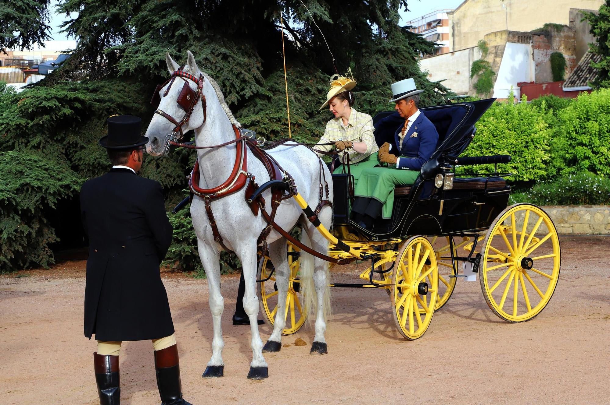 El carruaje reina en Córdoba