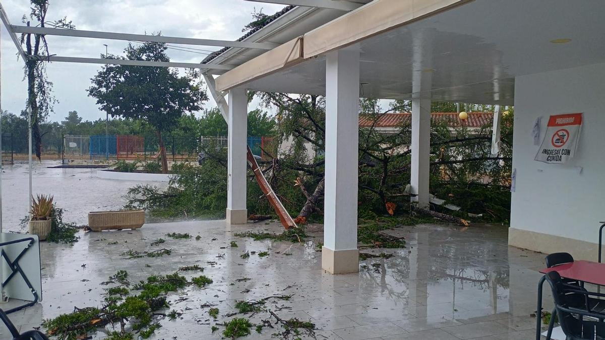 Algunos de los daños ocasionados por el temporal en Guadassuar.