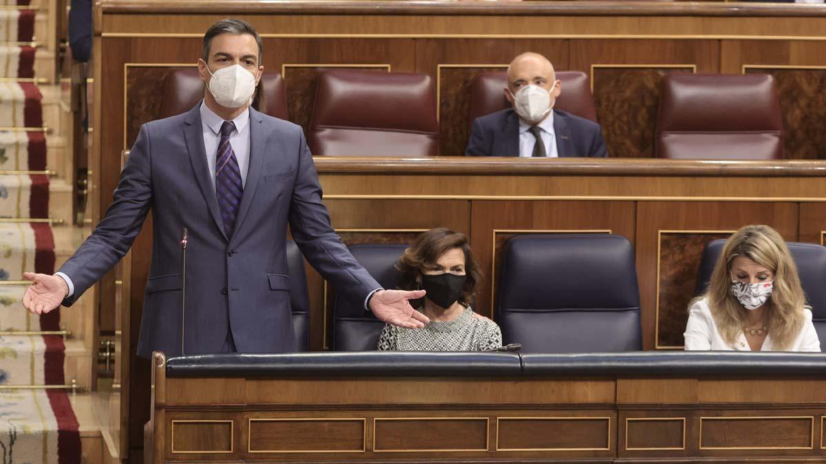 Pedro Sánchez, en el Congreso