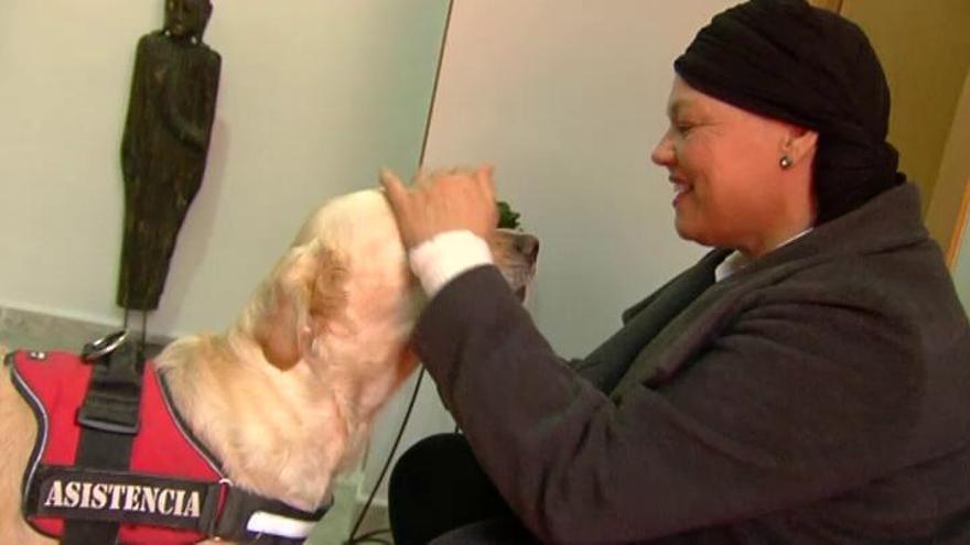 Una mujer descubre que tiene cáncer de mama gracias a un perro