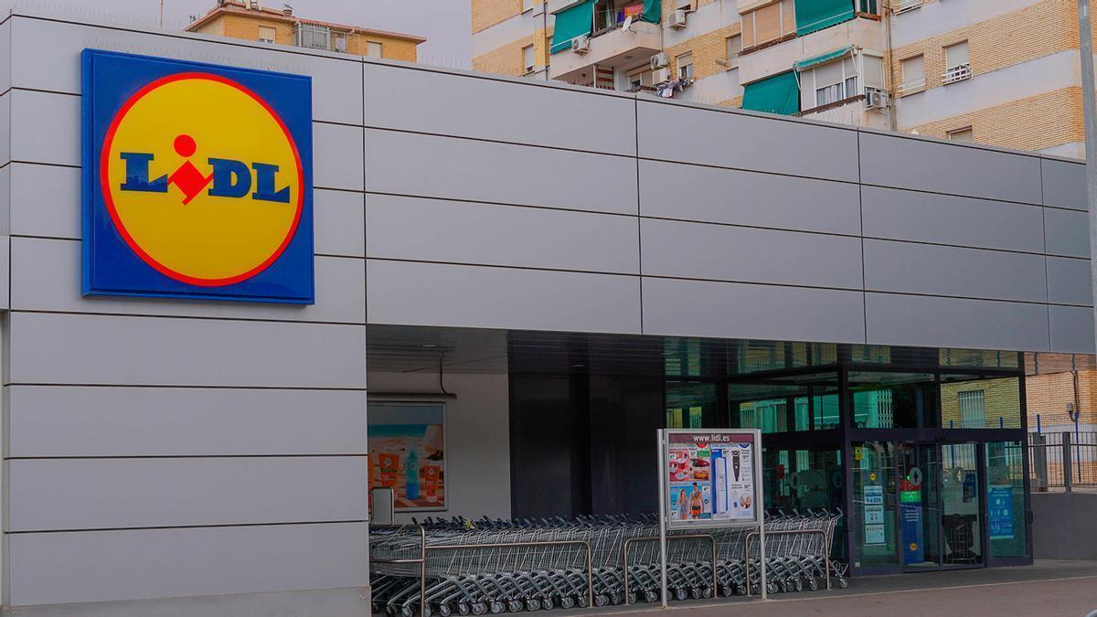 Mañana se esperan colas kilométricas en Lidl para conseguir la luz de terraza que destierra a los mosquitos para siempre: disponible por 3,99 euros