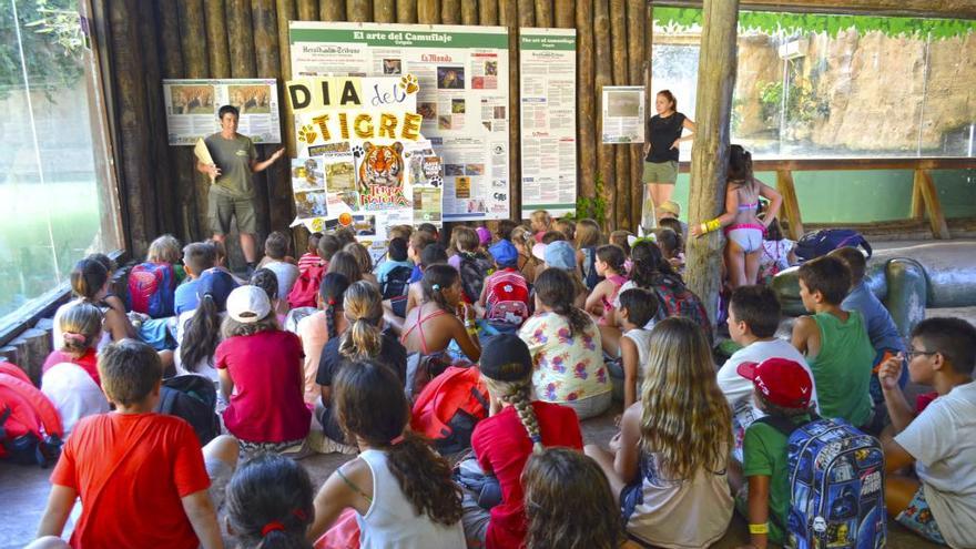 Terra Natura conciencia sobre la conservación del tigre