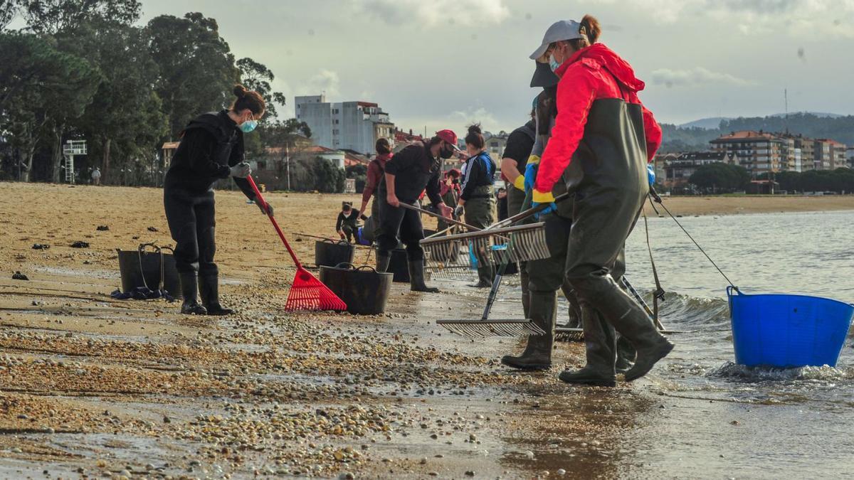 O marisqueo a pe é unha das actividades máis importantes nas praias de Arousa realizadas dende sempre por mulleres. |   // IÑAKI ABELLA