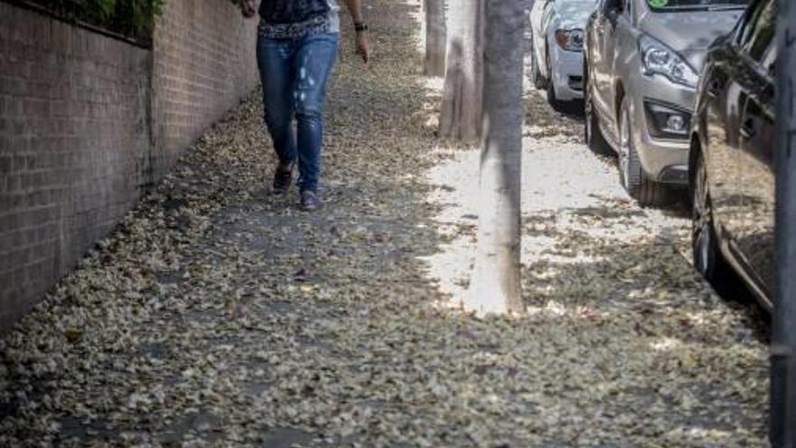 Los residentes se quejan de la falta de limpieza en las calles.